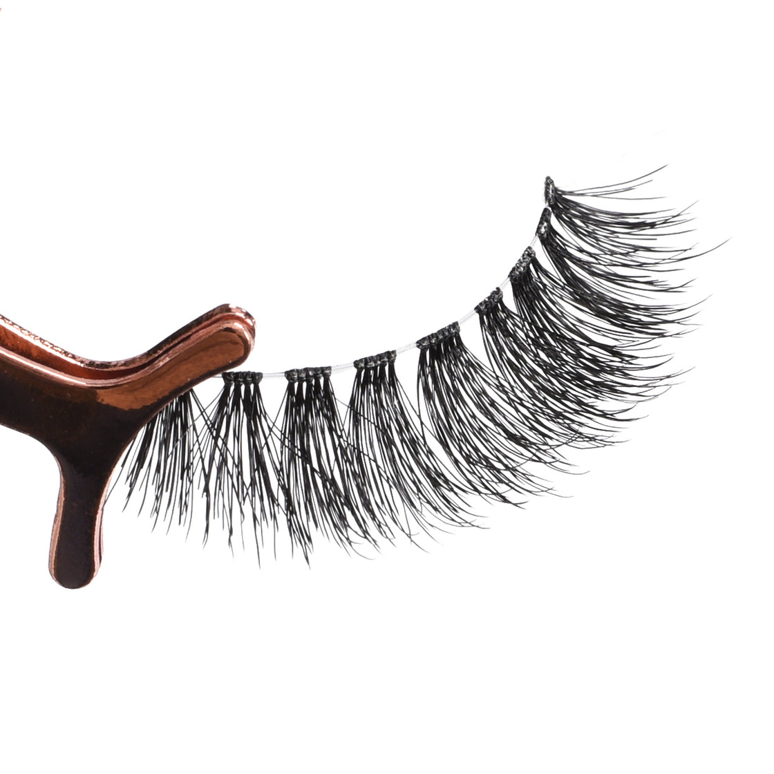 False Eyelashes - BL 014