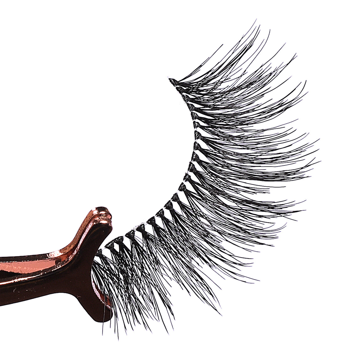 False Eyelashes - BL 022