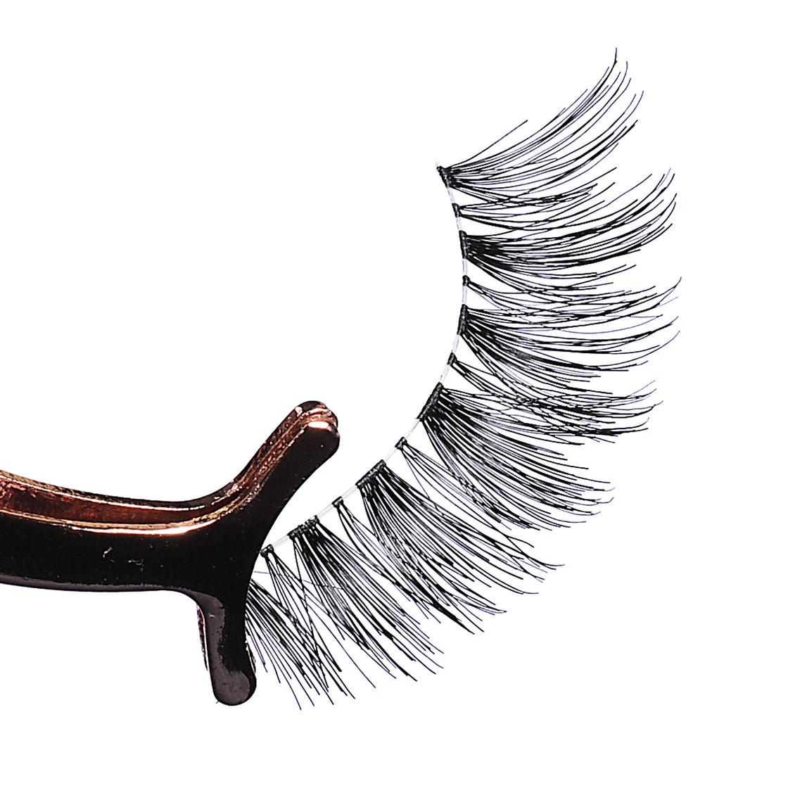 False Eyelashes - BL 010