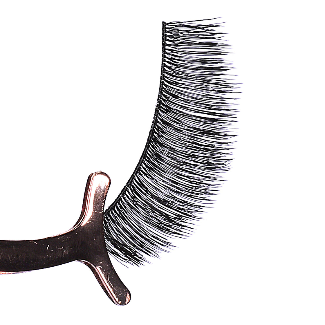 False Eyelashes - BL 025