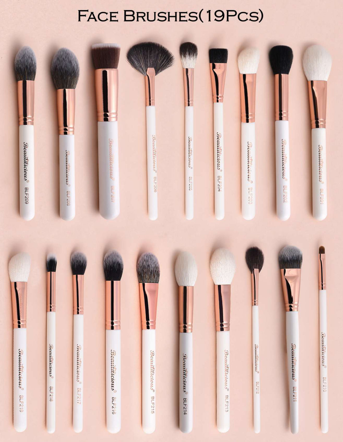 19 Piece Face Brush Set