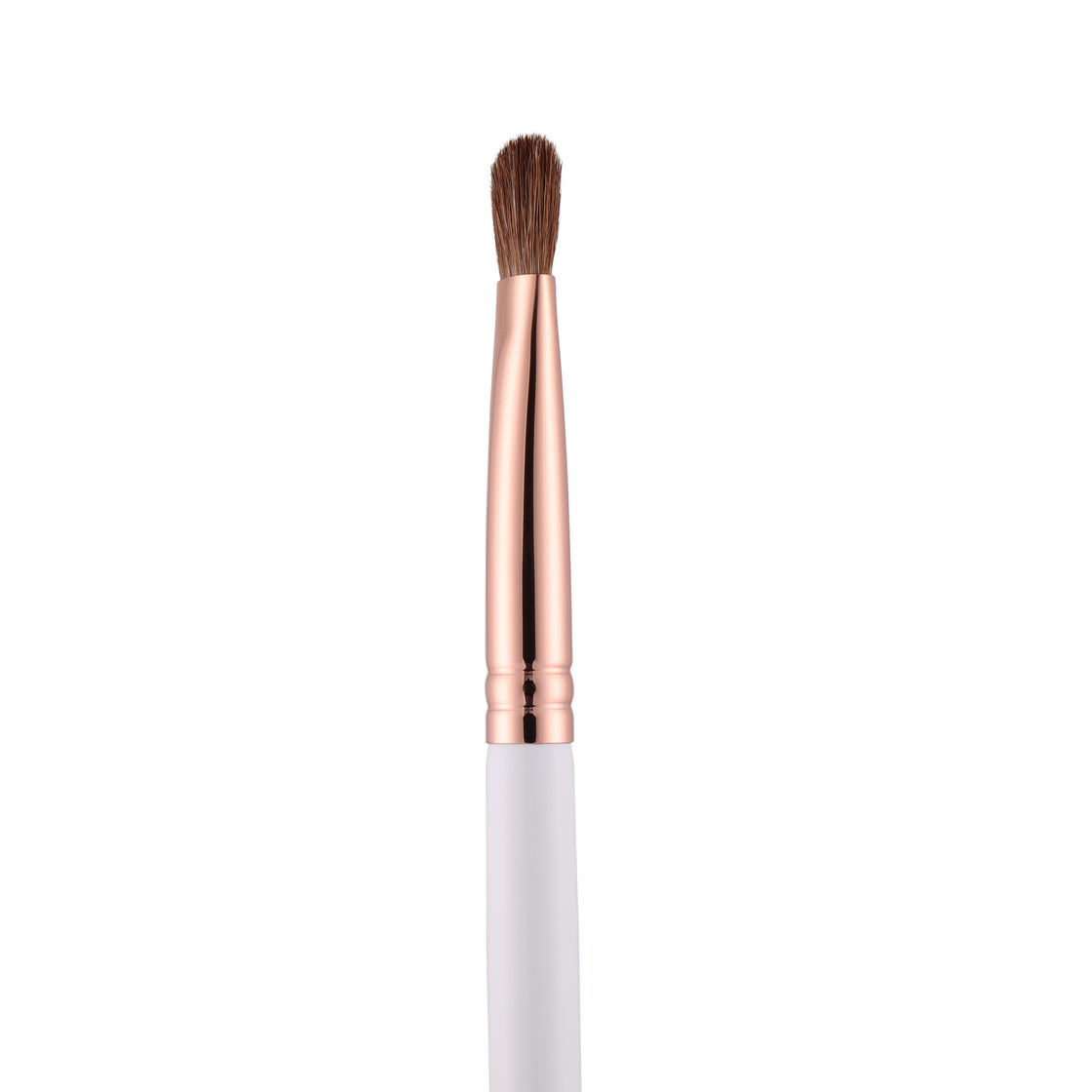 Angled Firm Shader Brush - BLE 318